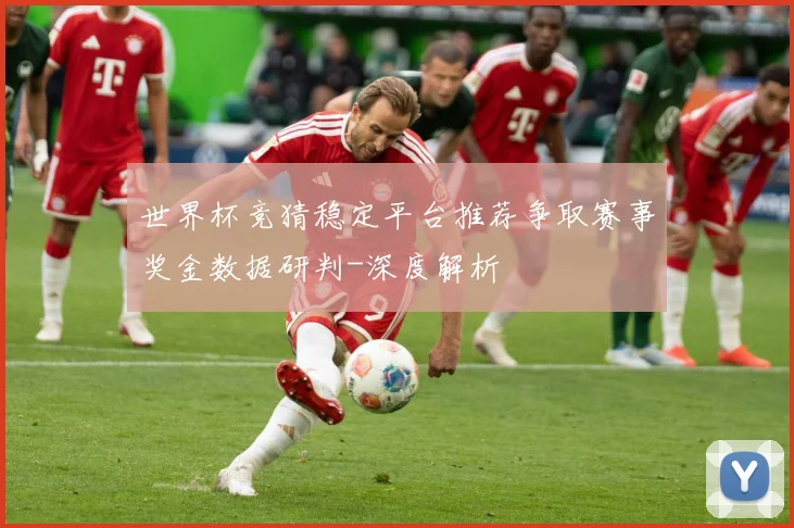 世界杯竞猜稳定平台推荐争取赛事奖金数据研判-深度解析